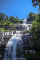 Obraz premium waterfall in the forest