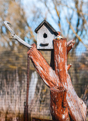 bird on the fence