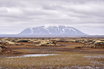 View Over the Swamps of Myvatn Towards the Table Mountain of Blafjall