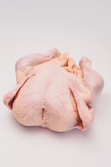 Uncooked chicken. Big and thick. Rests on the back. Isolated on a white background.