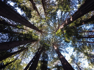 DCIM\100MEDIA\DJI_0977.JPG