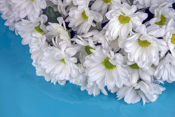 white chrysanthemums in a bouquet close up