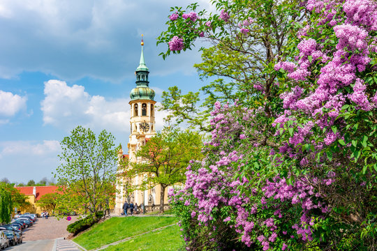 Loreta monastery in spring, Prague, Czech Republic