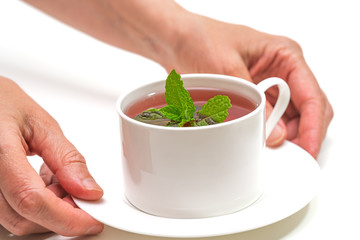 Cup of herbal tea with mint leaves close up on white background, woman hands