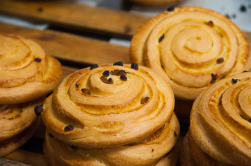 Bakery. Production of bread, rolls, pies and cookies