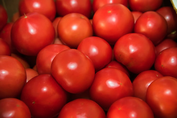 Red tomatoes sold in the market