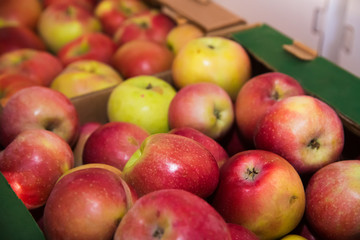 Fototapeta na wymiar Apples sold in the market