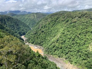 Australian rainforest Kuranda