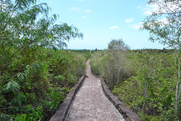 Fototapeta na wymiar Galápagos