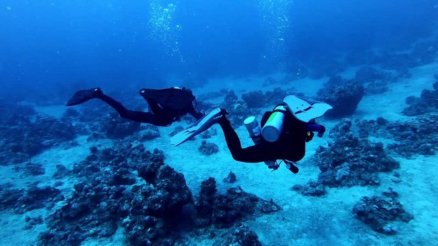 Scuba Diving on Coral Reef in Ocean