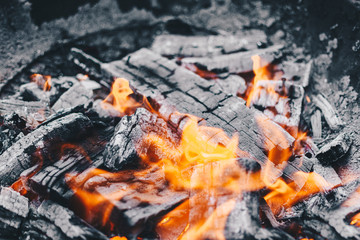 Firewood burning in the fire, coal and ashes