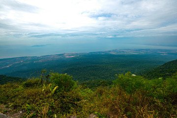 Ferest National Park at Kempot Cambodia