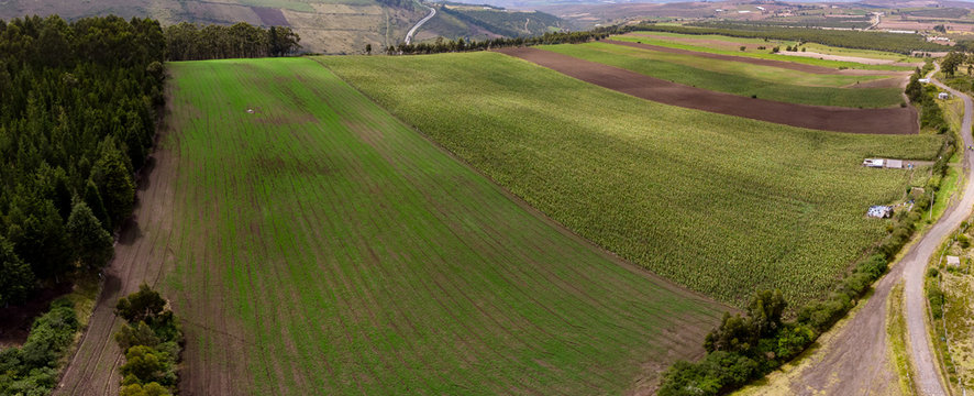Colored stripes of various crops