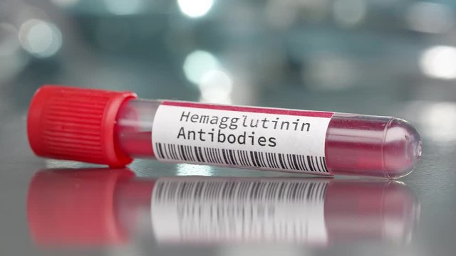 Hemagglutinin antibodies vial placed in medial lab while slowly rotating.