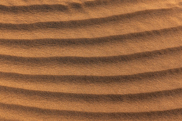 Gold sand texture close up at sunset