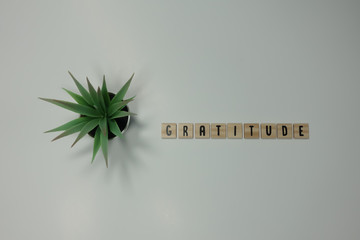 The word gratitude written in wooden letter tiles on a white background.