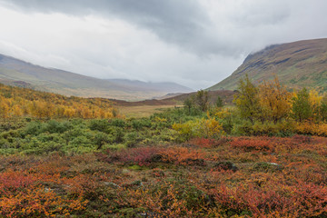 autumn view of Sarek National Park, Lapland, Norrbotten County, Sweden, near border of Finland, Sweden and Norway. selective focus
