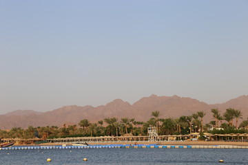 beach in the morning