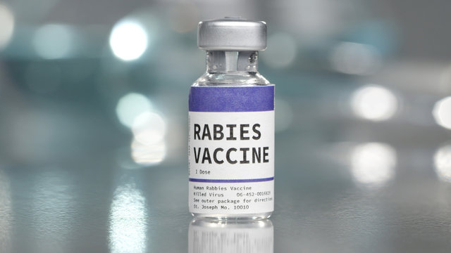 Mus Med Rabies