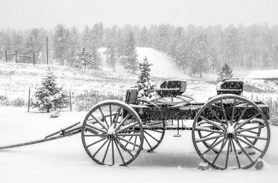 Horse Drawn Carriage