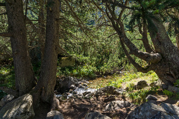 Hiking trail for Malyovitsa peak, Rila Mountain, Bulgaria