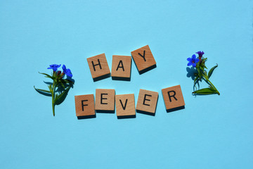 Hay Fever, words in wooden alphabet letters