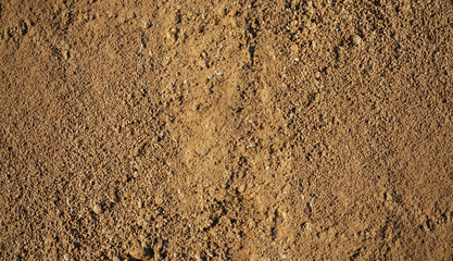 Close view of sandy soil surface.