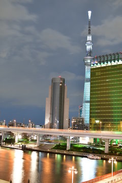 Japan  Tokyo  naight