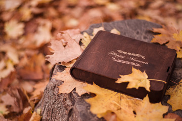 old book with autumn leaves