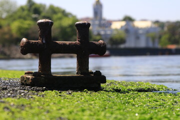 Sidewalk with moss at the seaside