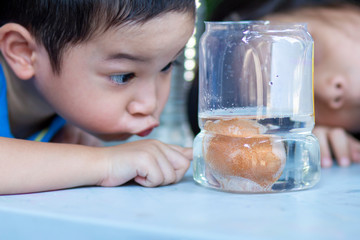 Egg in vinegar experiment science activity.Asian preschool kids  learn about a cool chemical...