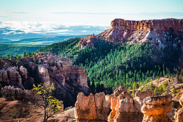 Bryce Canyon national park sunrise