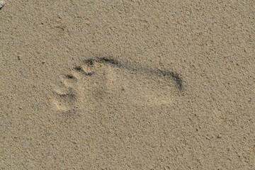 Fototapeta na wymiar Single Barefoot Footprint Impression in the Sand on the Beach