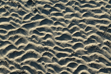 Abstract Pattern of Ripples in the Sand at the Beach