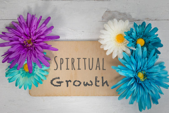 Wooden sign Spiritual growth written on board surrounded by spring bright colorful flowers flat lay design 
