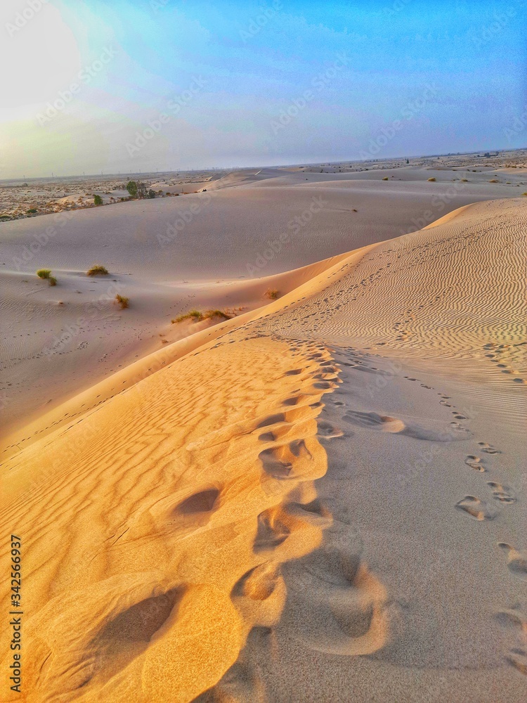 Wall mural sand dune in desert of Algeria