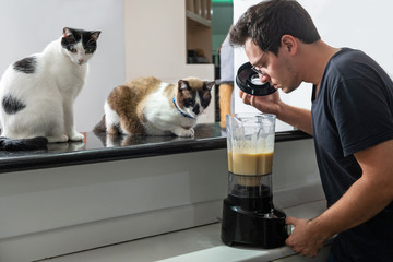 young man cooking with cats in the kitchen
