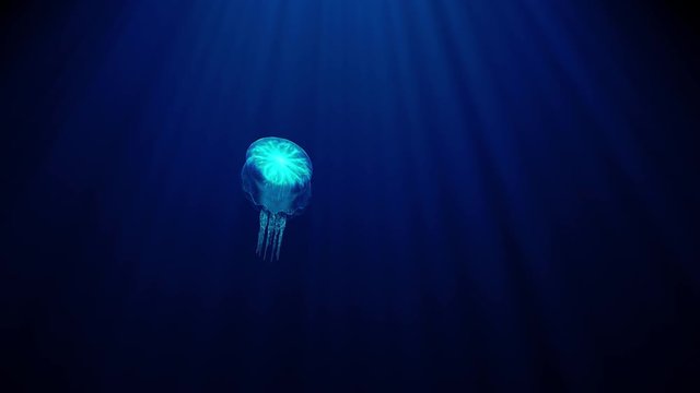 luminous transparent jellyfish slowly floats deep under water in the rays of light. bioluminescent pattern on the body shimmers with all the colors of the rainbow 3d render uhd 4k 3840 2160