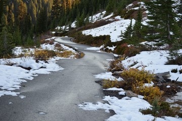 walking path