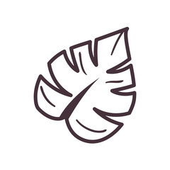 Isolated leaf line style icon vector design