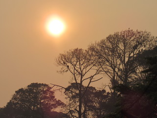 atardecer