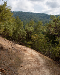 Feather Falls Loop Trail overview on a cloudy day, Oroville, California, USA