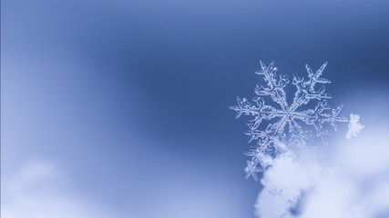 雪の結晶