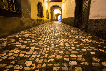 rain on a cobblestone street in Ljubljana