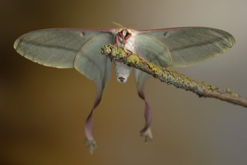 fantastico mondo  © francesconobil