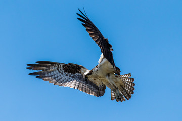 Putting on the Brakes