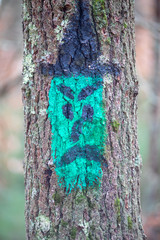 Painted faces on tree trunks in forest