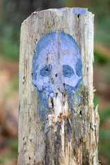 Painted faces on tree trunks in forest
