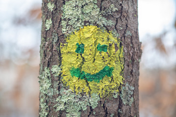 Painted faces on tree trunks in forest
