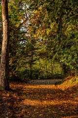 Prospettiva autunnale